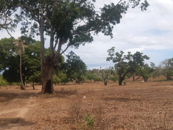 19-acres-in-ganda-for-sale-on-by-pass