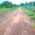 3 Acres for sale in Kakuyuni virgin land