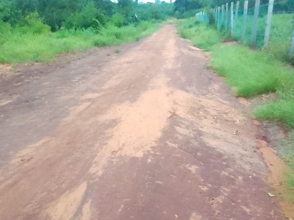 3 Acres for sale in Kakuyuni virgin land