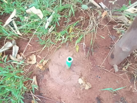 virgin land for sale in Kakuyuni