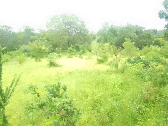 Kakuyuni land for sale