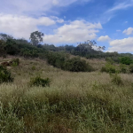 baricho-100-acres-for-sale