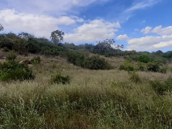 baricho-100-acres-for-sale