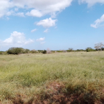 fair-acres-1-acre-for-salein-chakama