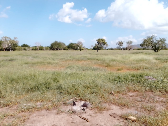 fair-acres-2-acres-for-sale-in-chakama