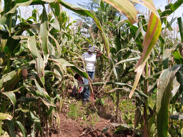 farmland-for-sale-in-taveta