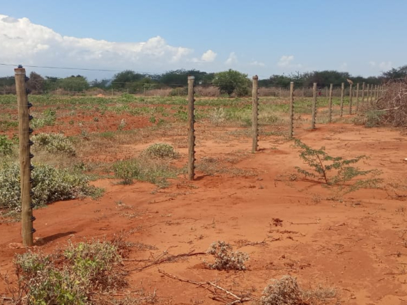 fenced-land-in-taveta