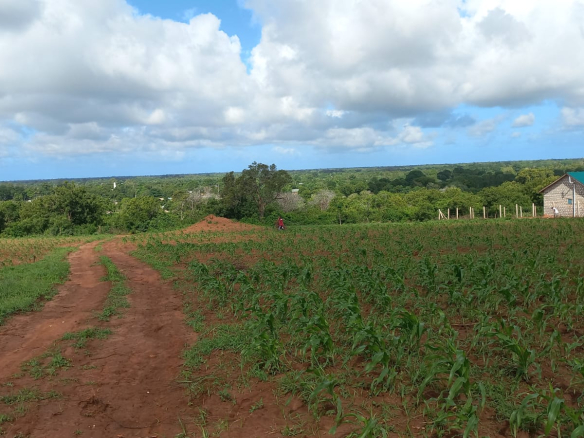 half-acre-for-sale-arabuko-heights-kakuyuni-nice-view