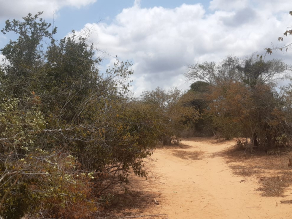 hawewanje-15-acres-for-sale-2-2