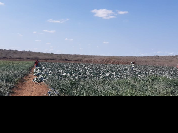 hawewanje-farm-for-sale