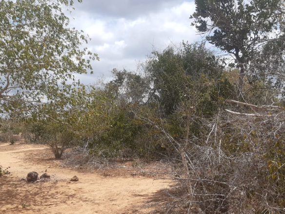 hawewanje-land-for-sale-15-acres-2