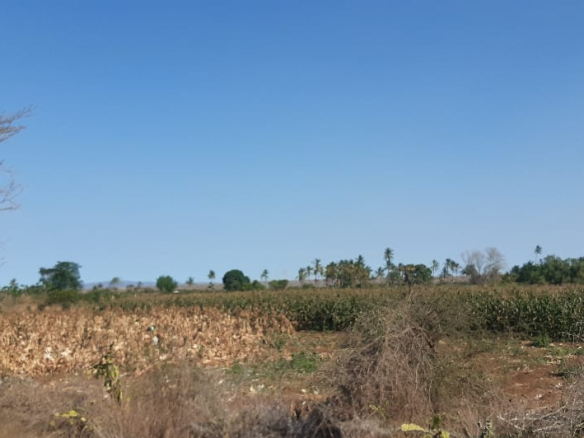 hawewanje-virgin-15-acres-for-sale