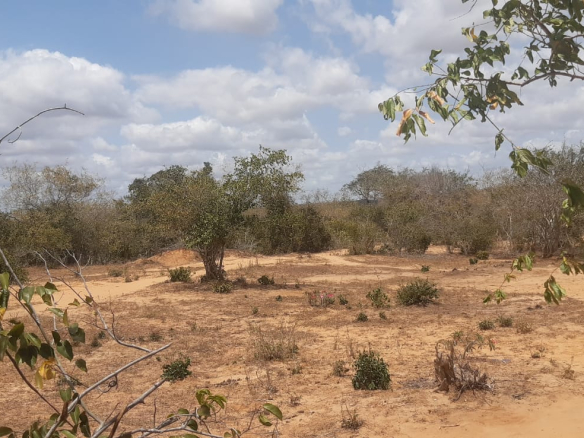 hawewanje-virgin-land-for-sale-15-acres-2