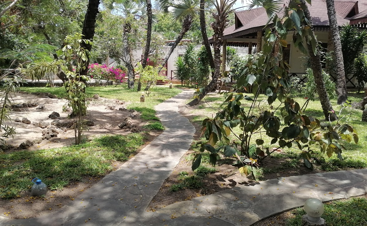 kilimango-garden