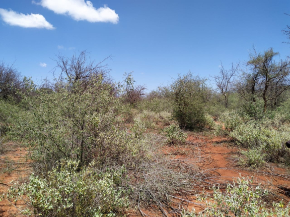 land-for-sale-in-taveta-3