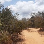 lanf-for-sale-in-malindi-hawewanje