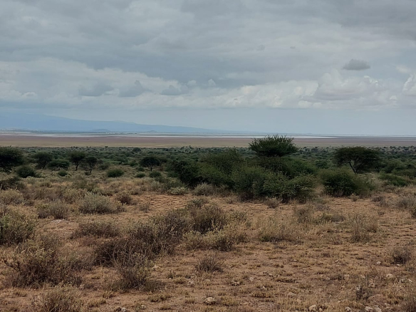 loitoktok-21-acres-for-sale