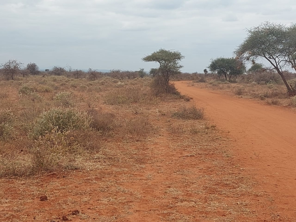 loitoktok-21-acres-for-sale-road