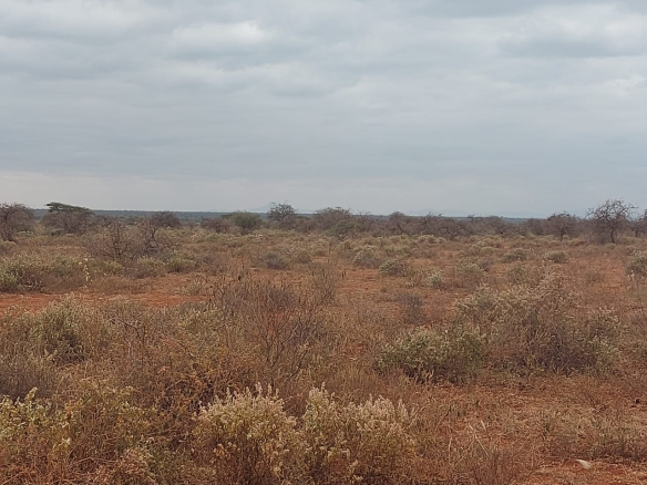 loitoktok-land-for-sale