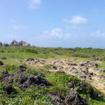 Mayungu 1 Acre for sale