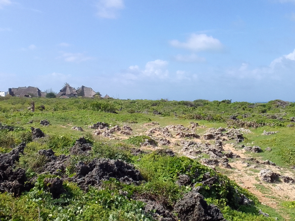 Mayungu 1 Acre for sale