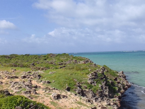 Mayungu 1 Acre for sale