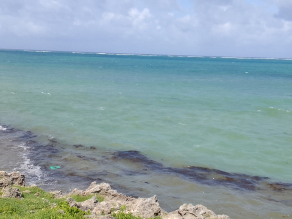 Mayungu 1 Acre for sale