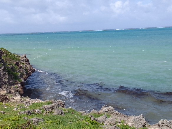 Mayungu 1 Acre for sale