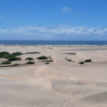 mkaazi-sandy-beach-land-in-mambrui-3-2