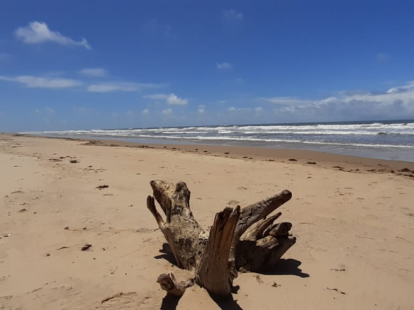 mkaazi-sandy-beach-land-in-mambrui-4-2