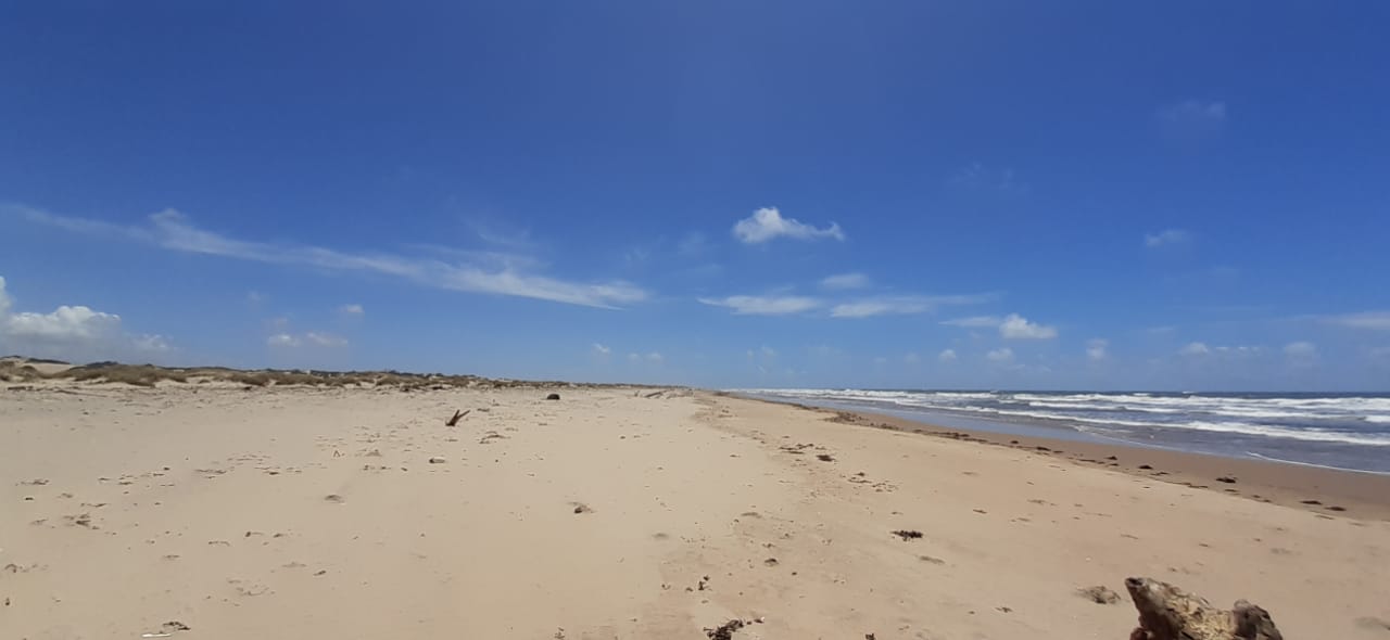 mkaazi-sandy-beach-land-in-mambrui-5-2
