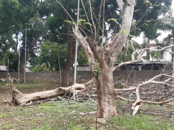 premier-school-plot-for-sale-malindi