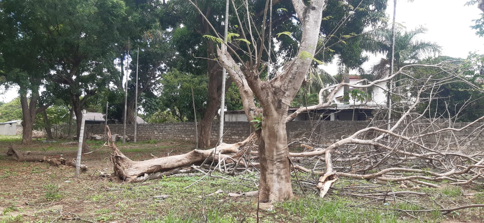 premier-school-plot-for-sale-malindi