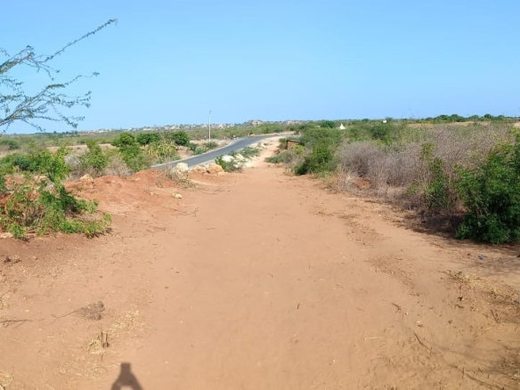 sabaki-plots-for-sale