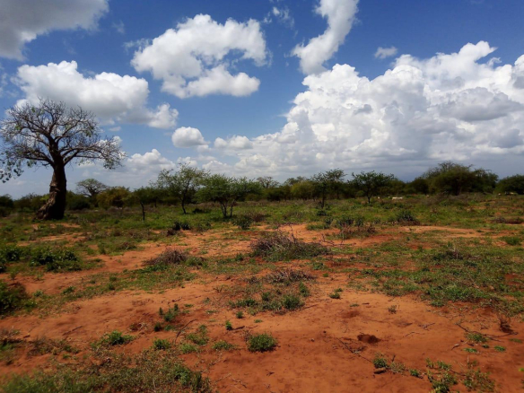 virgin-land-for-sale-in-taveta