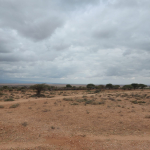 21 Acres for sale in Kimana