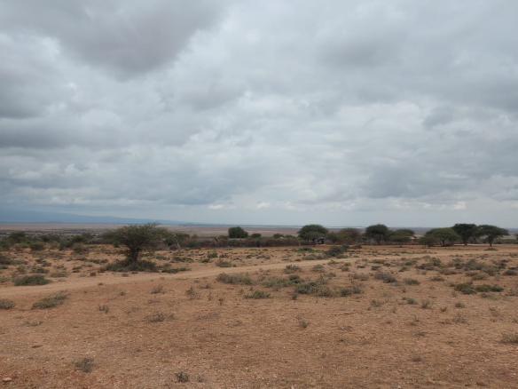 21 Acres for sale in Kimana