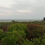 VIEWS FROM THE ROOFTOP