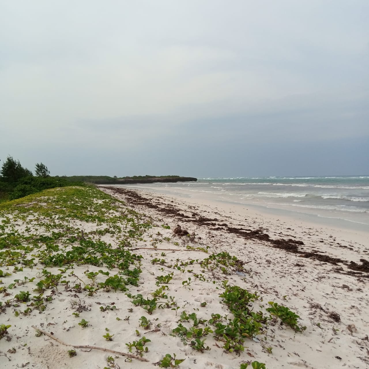 bofa-50-acres-kilifi-beach-2