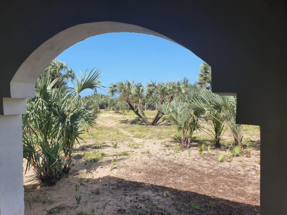 mkaazi-0-8-acres-near-casino-3