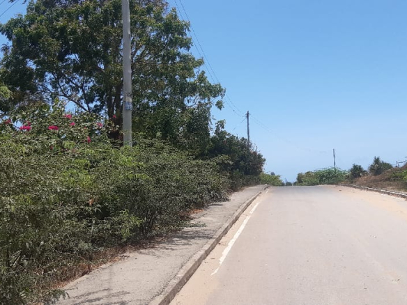 mkaazi-2-half-acres-kibokoni-1