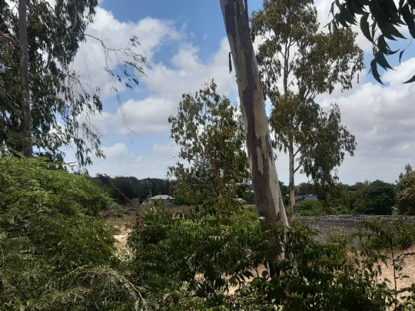 mkaazi-2-half-acres-kibokoni-2