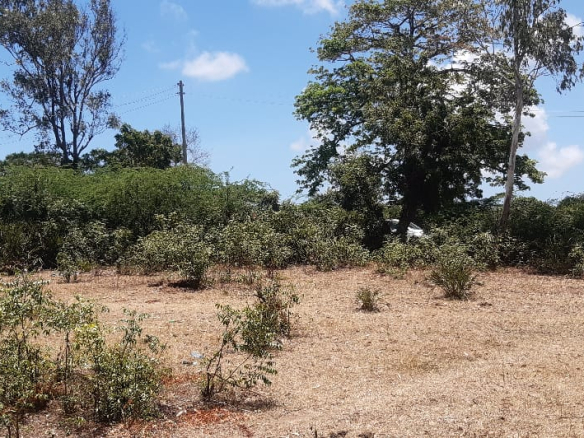 mkaazi-2-half-acres-kibokoni-3