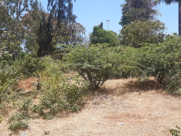 mkaazi-2-half-acres-kibokoni-4