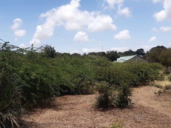 mkaazi-2-half-acres-kibokoni-6