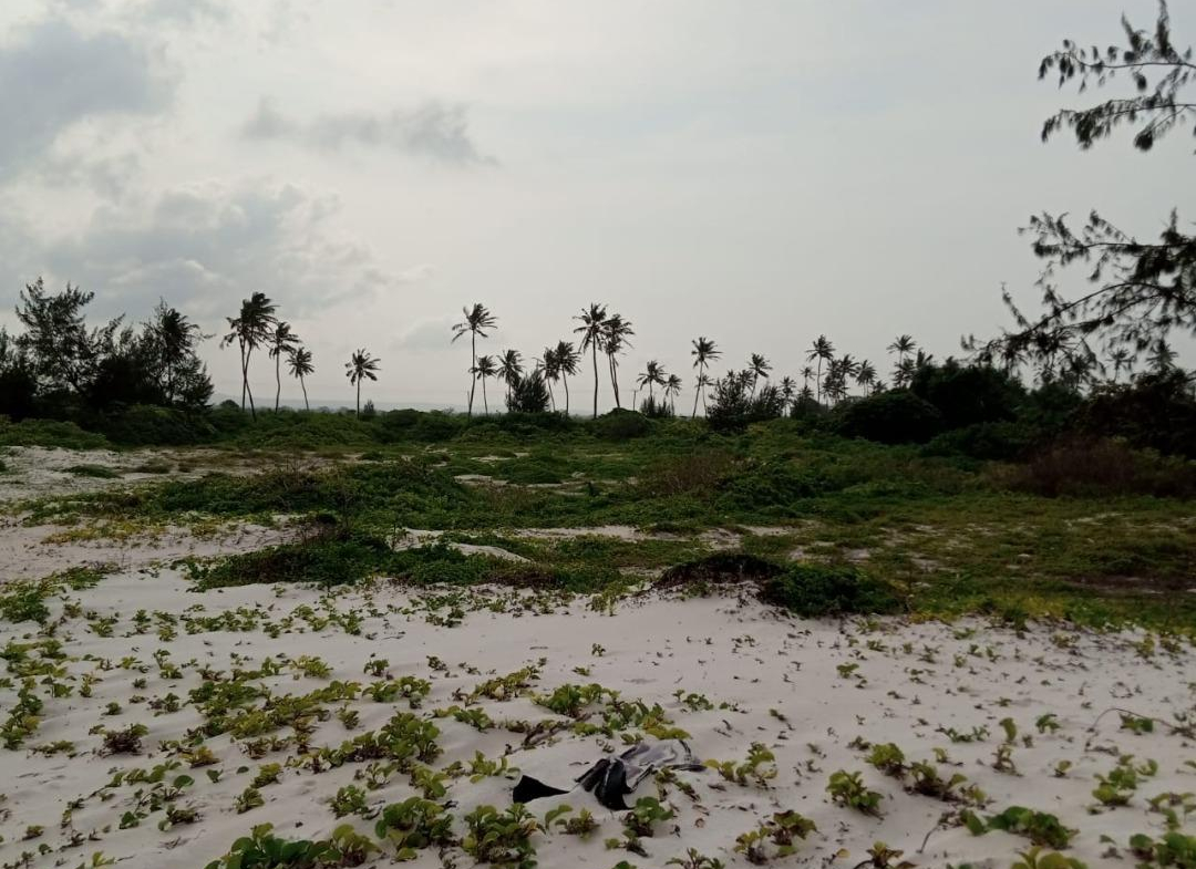 mkaazi-50-acres-bofa-kilifi-1