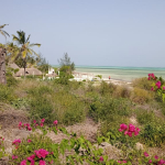 mkaazi-7-5-acres-watamu-1