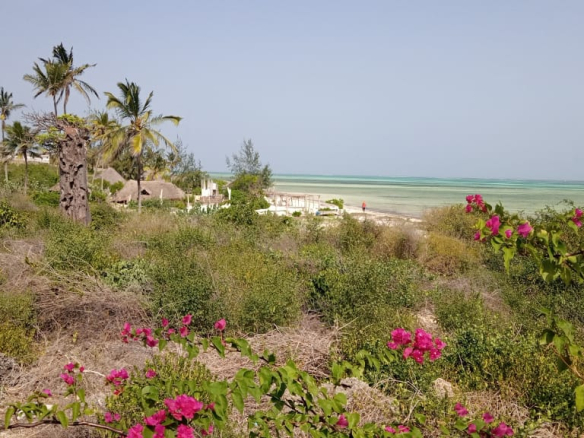 mkaazi-7-5-acres-watamu-1