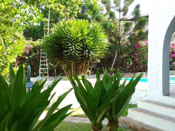 mkaazi-igwani-3br-23-2