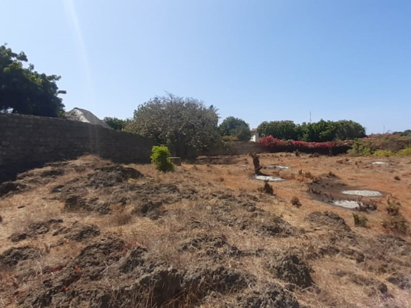 rocky-residential-plot-casurina-malindi